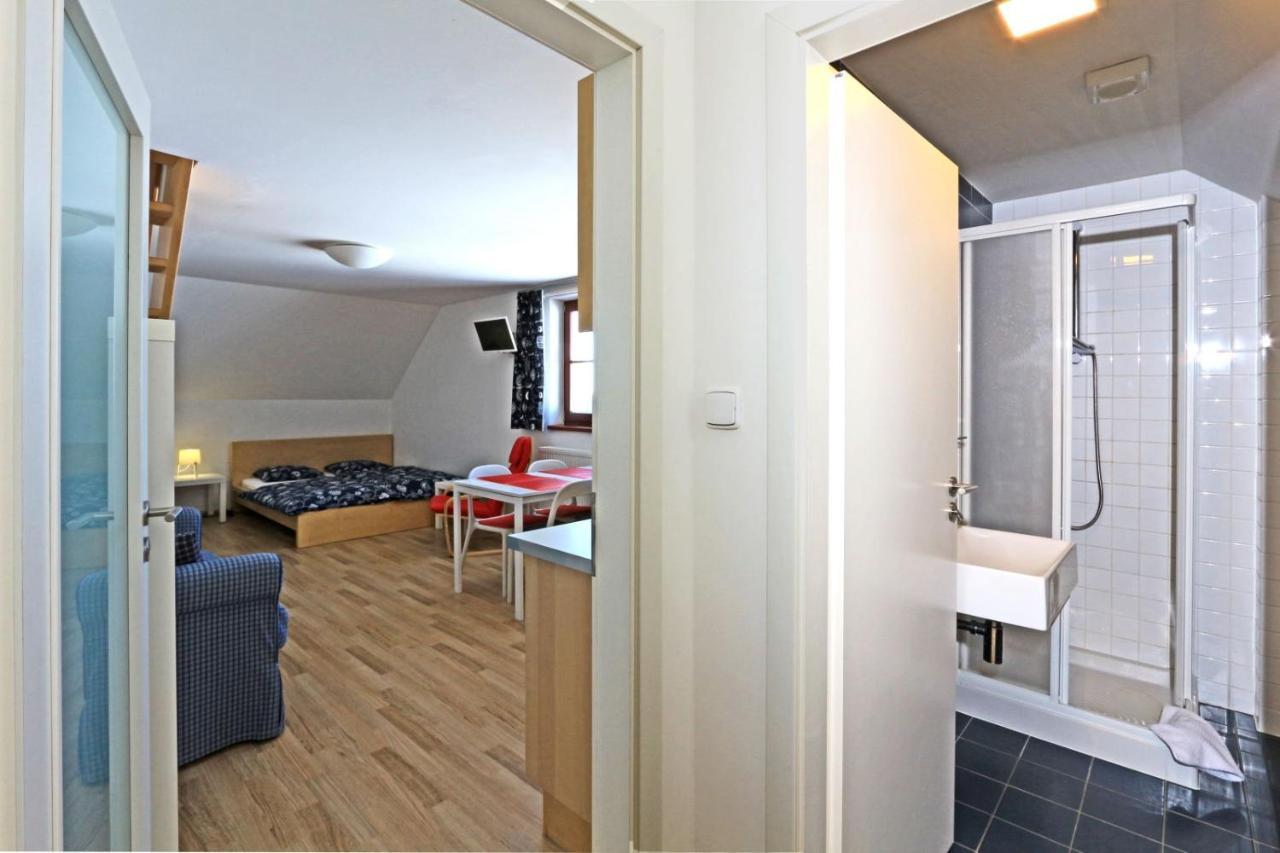 Apartmany Fox Boží Dar Eksteriør bilde